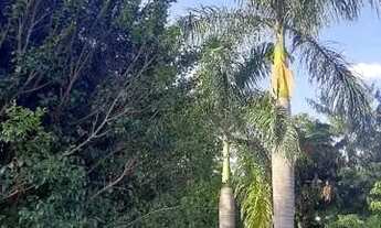 Imagem 3: Casa para Venda em Brasília, Setor de Mansões do Lago Norte, 3 dormitórios, 1 suíte, 2 ban