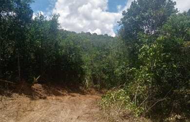 Imagem 2: Vendo terreno Terreno / lote com venda por R$10.000