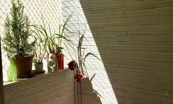 Imagem 3: Quot;Higienópolis, localizado na região central de São Paulo, é um bairro nobre, repleto