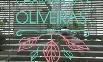 Imagem 3: Parque Chapada das Oliveiras