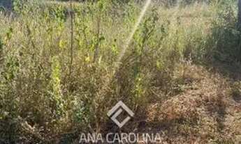 Imagem 4: Lote no Bairro Monte Melo