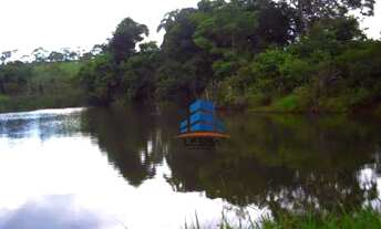 Imagem 5: Chácara a 35 km de Goiânia em Santa Barbara de Goiás