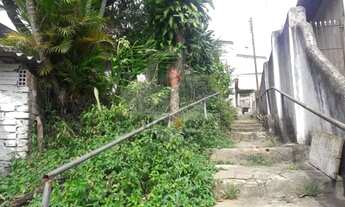 Imagem 3: Terreno Vila Bertioga (mooca