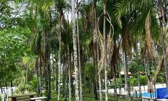 Imagem: Vendo Fazenda Bela Vista