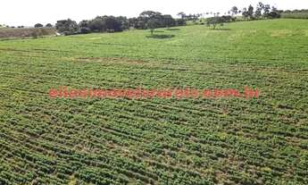 Imagem 5: Área 19,54 ha - 2 km da BR-365 - Cultivo soja