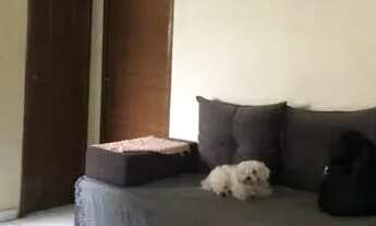 Imagem 6: CASA NO CONJUNTO CIDADÃO 10 - TARUMÃ