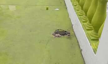 Imagem 12: Casa no Aleixo - Manaus - Amazonas