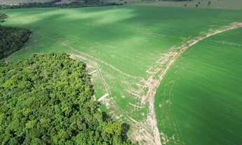 Imagem 5: Fazenda Itaberaí