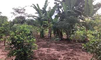 Imagem 4: Rancho à venda, 100 m² por R$ 280.000,00 - Zona Rural - Rio Verde/GO