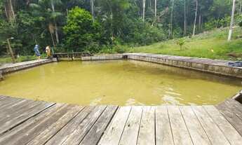 Imagem 2: Vendo maravilhoso sitio, 125m x 100m, ramal do pau rosa, Am