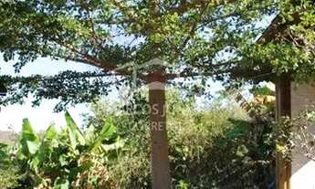 Imagem 5: Maravilhoso sítio na estrada da produção a 12 km de Moc todo formado