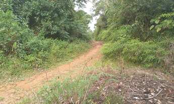 Imagem 4: 3 alqueires paulistas 111 mil reais