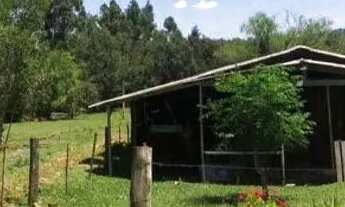 Imagem 3: Vendo sítio na cascata 5° distrito de pelotas