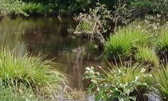 Imagem 2: Vendo excelente Fazenda em inhambupe