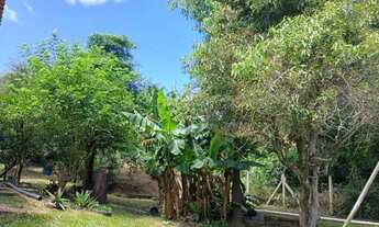 Imagem 2: Terreno à venda, São Lucas - Viamão/RS