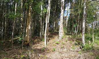 Imagem 4: Terreno para sítio e ou Clube