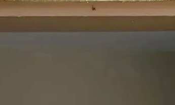 Imagem 5: Aluga-se casa de um quarto no bairro do Alecrim em condominio fechado