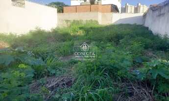 Imagem 2: Lote com característica mista ( residencial ou comercial) no Bairro Roosevelt, próximo ao