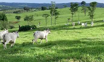 Imagem 5: Fazenda a venda em Ipameri Goiás!!!