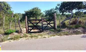 Imagem 2: FAZENDA PEDRA NO DISTRITO DE BOA UNIÃO - 25 TAREFAS DE TERRA - BR 110 - PORTÃO - ALAGOINHA
