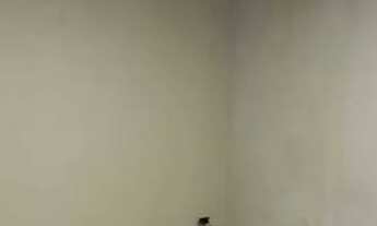 Imagem 6: Af Casa em icoraci no Cruzeiro