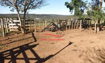 Imagem 3: Fazenda à venda, 3 quartos, zona rural - Senador Modestino Gonçalves/MG