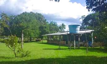 Imagem 4: Sítio/Terreno/AM 240/Estrada de Balbina, KM 28/48 Hectares