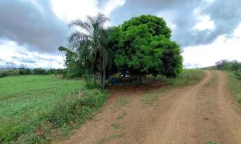 Imagem 2: Sítio à venda, 96800 m² por R$ 500.000,00 - Centro - Guaraniaçu/PR