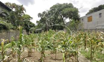 Imagem 7: Terreno Padrao - Boacava/Sao Paulo