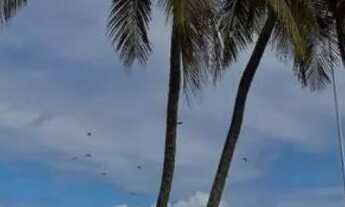 Imagem 3: Aluguel Casa Ilha Itaparica