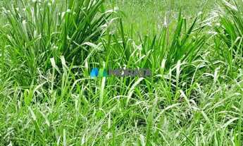Imagem 2: FAZENDA À VENDA - 4.000 HECTARES - JAÍBA (MG