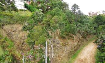 Imagem 3: Terreno / Venda Terreno / lote com venda por R$300.000