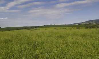 Imagem 2: Sítio a venda com 31 alqueires