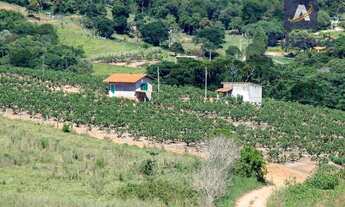 Imagem 2: Sítio à venda, 56785 m² por R$ 1.350.000 - Zona Rural - Morungaba/SP