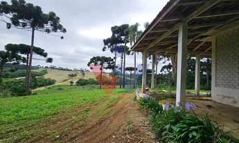 Imagem 2: Fazenda com 70 alqueires, casa, rio e lago a 8 km da BR-476 Aberta a negociação