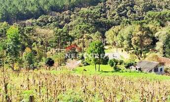 Imagem 4: Chácara em Campo Largo - Pr - Retiro - Retiro Grande/PR