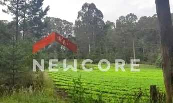 Imagem 4: Lote em Estrada Principal Rincão dos Kroeff - Rincão do kroeff - São Francisco de Paula/RS