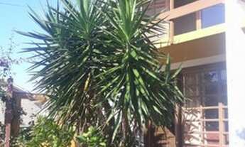 Imagem 2: Sobrado em Condomínio para Aluguel em Morrinhos Garopaba-SC - 174