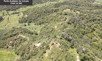 Imagem 5: Fazenda à Venda em Novo Triunfo - Bahia