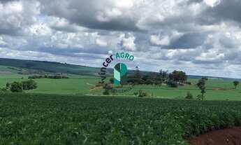 Imagem 7: Fazenda em Jataí