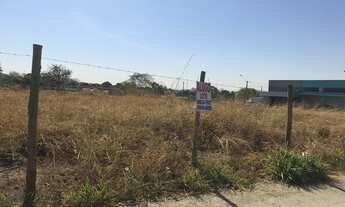 Imagem 5: Lote em avenida para locação