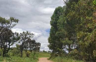 Imagem 6: Vendo na Pedra Fundamental