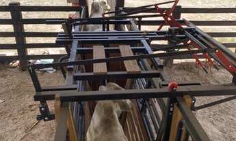 Imagem 2: Fazenda nova de 170 hectares, sendo 120ha de pasto - 70 km de Cuiabá, sentido Rondonópolis