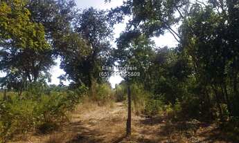 Imagem 5: Terreno à venda em zona rural em Santo Antônio de Leverger-MT
