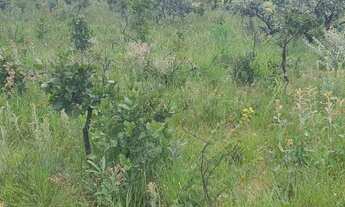 Imagem 4: Vendo na Pedra Fundamental