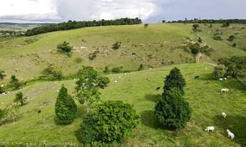 Imagem 7: Fazenda com 164 Hectares em Pernambuco