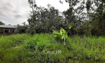 Imagem 4: Terreno para venda no Balneário Saint Etienne em Matinhos