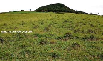 Imagem 4: Área Rural para Venda em Tamarana, Zona Rural
