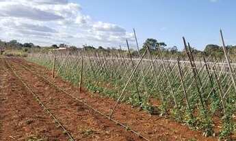 Imagem 2: Chácara Medindo 10.000 m² , Por apenas R$ 109.000mil