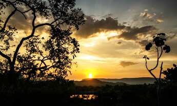 Imagem 5: Lindas Chácaras na Chapada dos Veadeiros, documento, muito verde e muita água!